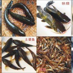 三只手河鲜