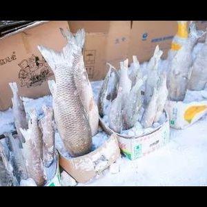 成都海林冻品食品有限公司