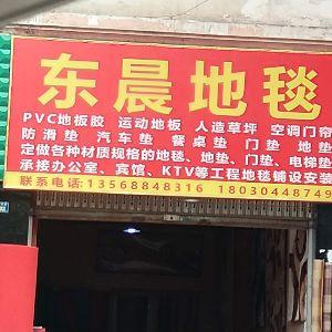 东晨地毯