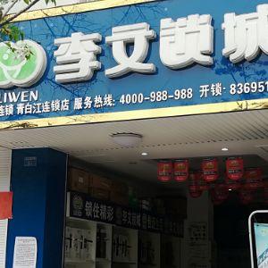李文锁城