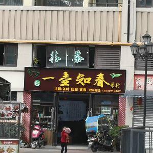 一壶知春茶行