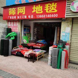 筛网 地毯