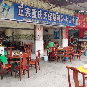 正宗重庆天保烧鸡公-片片鱼