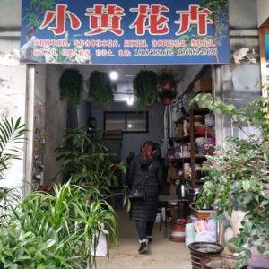 小黄花卉