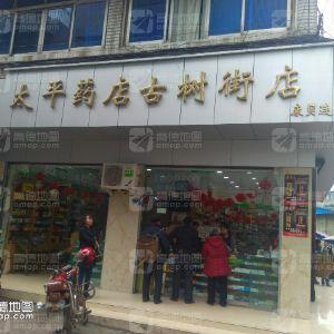 太平药店(古树街店)